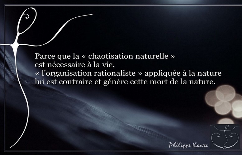 L&rsquo;organisation de la&nbsp;chaotisation